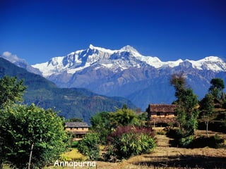 Daktylek
           Annapurna
 