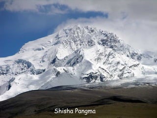 Daktylek   Shisha Pangma
 