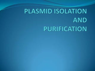PLASMID ISOLATIONANDPURIFICATION 