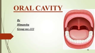 ORAL CAVITY
By
Himanshu
Group no:-313
01
 