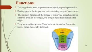 Himanshu meghwal (1).pptxygbugugvugvggg | PPTX