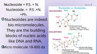 Nucleic acid chemistry Himanshu Sethiya ppt | PPTX