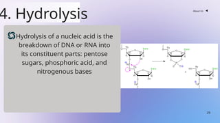 Nucleic acid chemistry Himanshu Sethiya ppt | PPTX