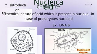 Nucleic acid chemistry Himanshu Sethiya ppt | PPTX