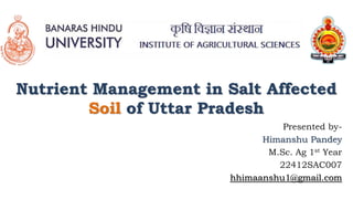 Nutrient Management in Salt Affected
Soil of Uttar Pradesh
Presented by-
Himanshu Pandey
M.Sc. Ag 1st Year
22412SAC007
hhimaanshu1@gmail.com
 