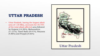 UTTAR PRADESH
• Uttar Pradesh, having the largest alkali
area of 1.35 Mha, accounts for 35.75%
of the total alkali-affected area followed
by Gujarat (14.36%), Maharashtra
(11.21%), Tamil Nadu (9.41%), Haryana
(4.86%) and Punjab (4.02%)
 