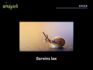 SP E E D




Darwins law
 