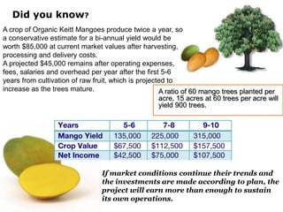 Did you know?
A crop of Organic Keitt Mangoes produce twice a year, so
a conservative estimate for a bi-annual yield would be
worth $85,000 at current market values after harvesting,
processing and delivery costs.
A projected $45,000 remains after operating expenses,
fees, salaries and overhead per year after the first 5-6
years from cultivation of raw fruit, which is projected to
increase as the trees mature.                        A ratio of 60 mango trees planted per
                                                     acre, 15 acres at 60 trees per acre will
                                                     yield 900 trees.




                                 If market conditions continue their trends and
                                 the investments are made according to plan, the
                                 project will earn more than enough to sustain
                                 its own operations.
 