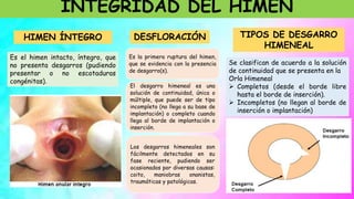 INTEGRIDAD DEL HIMEN
Es el himen intacto, íntegro, que
no presenta desgarros (pudiendo
presentar o no escotaduras
congénitas).
Es la primera ruptura del himen,
que se evidencia con la presencia
de desgarro(s).
El desgarro himeneal es una
solución de continuidad, única o
múltiple, que puede ser de tipo
incompleto (no llega a su base de
implantación) o completo cuando
llega al borde de implantación o
inserción.
Los desgarros himeneales son
fácilmente detectados en su
fase reciente, pudiendo ser
ocasionados por diversas causas:
coito, maniobras onanistas,
traumáticas y patológicas.
Se clasifican de acuerdo a la solución
de continuidad que se presenta en la
Orla Himeneal
 Completos (desde el borde libre
hasta el borde de inserción).
 Incompletos (no llegan al borde de
inserción o implantación)
HIMEN ÍNTEGRO DESFLORACIÓN TIPOS DE DESGARRO
HIMENEAL
 