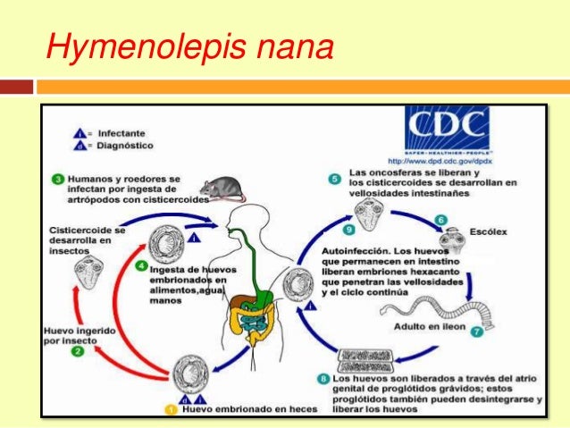 Himenolepiasis