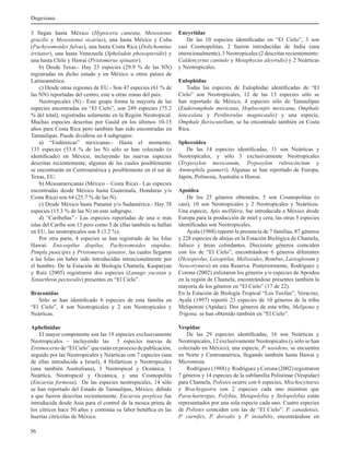 Dugesiana
56
3 llegan hasta México (Hypsicera cuneata, Mesostenus
gracilis y Mesostenus sicarius), una hasta México y Cuba
(Pachysomoides fulvus), una hasta Costa Rica (Dolichomitus
irritator), una hasta Venezuela (Sphelodon phoxopteridis) y
una hasta Chile y Hawai (Pristomerus spinator).
	 b) Desde Texas.- Hay 23 especies (29.9 % de las NN)
registradas en dicho estado y en México u otros países de
Latinoamérica.
	 c) Desde otras regiones de EU.- Son 47 especies (61 % de
las NN) reportadas del centro, este u otras zonas del país.
	 Neotropicales (N).- Este grupo forma la mayoría de las
especies encontradas en “El Cielo”, son 249 especies (75.2
% del total), registradas solamente en la Región Neotropical.
Muchas especies descritas por Gauld en los últimos 10-15
años para Costa Rica pero también han sido encontradas en
Tamaulipas. Puede dividirse en 4 subgrupos:
	 a) “Endémicas” mexicanas.- Hasta el momento,
133 especies (53.4 % de las N) sólo se han colectado (o
identificado) en México, incluyendo las nuevas especies
descritas recientemente, algunas de las cuales posiblemente
se encontrarán en Centroamérica y posiblemente en el sur de
Texas, EU.
	 b) Mesoamericanas (México – Costa Rica).- Las especies
encontradas desde México hasta Guatemala, Honduras y/o
Costa Rica) son 64 (25.7 % de las N).
	 c) Desde México hasta Panamá y/o Sudamérica.- Hay 38
especies (15.3 % de las N) en este subgrupo.
	 d) “Caribeñas”.- Las especies reportadas de una o más
islas del Caribe son 13 pero como 5 de ellas también se hallan
en EU, las neotropicales son 8 (3.2 %).
	 Por otra parte, 4 especies se han registrado de las Islas
Hawai: Enicospilus dispilus, Pachysomoides stupidus,
Pimpla punicipes y Pristomerus spinator, las cuales llegaron
a las Islas sin haber sido introducidas intencionalmente por
el hombre. De la Estación de Biología Chamela, Kasparyan
y Ruíz (2005) registraron dos especies (Lanugo yucatan y
Xenarthron pectoralis) presentes en “El Cielo”.
Braconidae
	 Sólo se han identificado 6 especies de esta familia en
“El Cielo”, 4 son Neotropicales y 2 son Neotropicales y
Neárticas.
Aphelinidae
	 El mayor componente son las 19 especies exclusivamente
Neotropicales – incluyendo las 3 especies nuevas de
Eretmocerusde“ElCielo”queestánenprocesodepublicación,
seguido por las Neotropicales y Neárticas con 7 especies (una
de ellas introducida a Israel), 4 Holárticas y Neotropicales
(una también Australiana), 1 Neotropical y Oceánica, 1
Neártica, Neotropical y Oceánica, y una Cosmopolita
(Encarsia formosa). De las especies neotropicales, 14 sólo
se han reportado del Estado de Tamaulipas, México, debido
a que fueron descritas recientemente. Encarsia perplexa fue
introducida desde Asia para el control de la mosca prieta de
los cítricos hace 50 años y continúa su labor benéfica en las
huertas citrícolas de México.
Encyrtidae
	 De las 10 especies identificadas en “El Cielo”, 3 son
casi Cosmopolitas, 2 fueron introducidas de India (una
intencionalmente), 3 Neotropicales (2 descritas recientemente:
Caldencyrtus canindo y Metaphycus aleyrodis) y 2 Neárticas
y Neotropicales.
Eulophidae
	 Todas las especies de Eulophidae identificadas de “El
Cielo” son Neotropicales, 12 de las 13 especies sólo se
han reportado de México, 4 especies sólo de Tamaulipas
(Euderomphale mexicana, Hoplocrepis mexicana, Omphale
lanceolata y Perditorulus magnicaulis) y una especie,
Omphale flaviscutellum, se ha encontrado también en Costa
Rica.
Sphecoidea
	 De las 14 especies identificadas, 11 son Neárticas y
Neotropicales, y sólo 3 exclusivamente Neotropicales
(Trypoxylon mexicanum, Trypoxylon rubrocinctum y
Ammophila gaumeri). Algunas se han reportado de Europa,
Japón, Polinesia, Australia o Hawai.
Apoidea
	 De los 25 géneros obtenidos, 5 son Cosmopolitas (o
casi), 10 son Neotropicales y 2 Neotropicales y Neárticos.
Una especie, Apis mellifera, fue introducida a México desde
Europa para la producción de miel y cera; las otras 5 especies
identificadas son Neotropicales.
	 Ayala (1988) reportó la presencia de 7 familias, 87 géneros
y 228 especies de abejas en la Estación Biológica de Chamela,
Jalisco y áreas colindantes. Diecisiete géneros coinciden
con los de “El Cielo”, encontrándose 6 géneros diferentes
(Hexepeolus, Loxoptilus, Melissodes, Bombus, Lasioglosum y
Neocorynura) en esta Reserva. Posteriormente, Rodríguez y
Corona (2002) enlistaron los géneros y/o especies de Apoidea
en la región de Chamela, encontrándose presentes también la
mayoría de los géneros en “El Cielo” (17 de 22).
En la Estación de Biología Tropical “Los Tuxtlas”, Veracruz,
Ayala (1997) reportó 23 especies de 10 géneros de la tribu
Meliponini (Apidae). Dos géneros de esta tribu, Melipona y
Trigona, se han obtenido también en “El Cielo”.
Vespidae
	 De las 29 especies identificadas, 16 son Neárticas y
Neotropicales, 12 exclusivamente Neotropicales (y sólo se han
colectado en México); una especie, P. nasidens, se encuentra
en Norte y Centroamérica, llegando también hasta Hawai y
Micronesia.
	 Rodríguez (1988) y Rodríguez y Corona (2002) registraron
7 géneros y 14 especies de la subfamilia Polistinae (Vespidae)
para Chamela, Polistes ocurre con 6 especies, Mischocyttarus
y Brachygastra con 2 especies cada uno mientras que
Parachartergus, Polybia, Metapolybia y Stelopolybia están
representados por una sola especie cada uno. Cuatro especies
de Polistes coinciden con las de “El Cielo”: P. canadensis,
P. carnifex, P. dorsalis y P. instabilis, encontrándose en
 