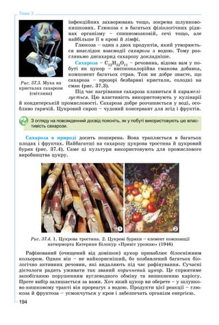 194
Тема 3
іíôåêöіéíèõ çàõâîðþâàíü òîùî, çîêðåìà øëóíêîâî-
êèøêîâèõ. Ãëþêîçà є â áàãàòüîõ ôіçіîëîãі÷íèõ ðіäè-
íàõ îðãàíіçìó – ñïèííîìîçêîâіé, ñå÷і òîùî, àëå
íàéáіëüøå її â êðîâі é ëіìôі.
Ãëþêîçà – îäèí ç äâîõ ïðîäóêòіâ, ÿêèé óòâîðþєòü-
ñÿ âíàñëіäîê âçàєìîäії ñàõàðîçè ç âîäîþ. Òîìó ðîç-
ãëÿíüìî äèñàõàðèä ñàõàðîçó äîêëàäíіøå.
Ñàõàðîçà – C12H22O11 – ðå÷îâèíà, âіäîìà âàì ó ïî-
áóòі ÿê öóêîð – âèñîêîêàëîðіéíà ñìàêîâà äîáàâêà,
êîìïîíåíò áàãàòüîõ ñòðàâ. Òîæ âè äîáðå çíàєòå, ùî
ñàõàðîçà – ïðîçîðі áåçáàðâíі êðèñòàëè, ñîëîäêі íà
ñìàê (ðèñ. 37.3).
Ïіä ÷àñ íàãðіâàííÿ ñàõàðîçà ïëàâèòüñÿ é êàðàìåëі-
çóєòüñÿ. Öþ âëàñòèâіñòü âèêîðèñòîâóþòü ó êóëіíàðії
é êîíäèòåðñüêіé ïðîìèñëîâîñòі. Ñàõàðîçà äîáðå ðîç÷èíÿєòüñÿ ó âîäі, îñî-
áëèâî ãàðÿ÷іé. Öóêðîâèé ñèðîï – ÷óäîâèé êîíñåðâàíò äëÿ ÿãіä і ôðóêòіâ.
З огляду на повсякденний досвід поясніть, як у побуті використовують цю влас-
тивість сахарози.
Ñàõàðîçà â ïðèðîäі äîñèòü ïîøèðåíà. Âîíà òðàïëÿєòüñÿ â áàãàòüîõ
ïëîäàõ і ôðóêòàõ. Íàéáàãàòøі íà ñàõàðîçó öóêðîâà òðîñòèíà é öóêðîâèé
áóðÿê (ðèñ. 37.4). Ñàìå öі êóëüòóðè âèêîðèñòîâóþòü äëÿ ïðîìèñëîâîãî
âèðîáíèöòâà öóêðó.
Ðèñ. 37.4. 1. Öóêðîâà òðîñòèíà. 2. Öóêðîâі áóðÿêè – åëåìåíò êîìïîçèöії
íàòþðìîðòà Êàòåðèíè Áіëîêóð «Ïðèâіò óðîæàþ» (1946)
1 2
Ðàôіíîâàíèé (î÷èùåíèé âіä äîìіøîê) öóêîð ïðèâàáëþє áіëîñíіæíèì
êîëüîðîì. Îäíàê âіí – íå íàéêîðèñíіøèé, áî ïîçáàâëåíèé áàãàòüîõ áіî-
ëîãі÷íî àêòèâíèõ ðå÷îâèí, ÿêі âèäàëÿþòü ïіä ÷àñ ðàôіíóâàííÿ. Ñó÷àñíі
äієòîëîãè ðàäÿòü óæèâàòè òàê çâàíèé êîðè÷íåâèé öóêîð. Öå ñïðèÿòèìå
çàïîáіãàííþ ïîðóøåííÿì âóãëåâîäíîãî îáìіíó òà âèíèêíåííþ êàðієñó.
Ïðîòå âèáіð çàëèøàєòüñÿ çà âàìè. Õî÷ ÿêèé öóêîð âè îáåðåòå – ó øëóíêî-
âî-êèøêîâîìó òðàêòі âіí ïðîðåàãóє ç âîäîþ. Ïðîäóêòè öієї ðåàêöії – ãëþ-
êîçà é ôðóêòîçà – óñìîê÷óòüñÿ ó êðîâ і çàáåçïå÷àòü îðãàíіçì åíåðãієþ.
Ðèñ. 37.3. Ìóõà íà
êðèñòàëàõ ñàõàðîçè
(ñâіòëèíà)
 