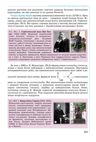 203
Початкові поняття про органічні сполуки
øàëüíå çíà÷åííÿ äëÿ ðîçóìіííÿ õіìі÷íîї ïðèðîäè áіëêîâèõ áіîïîëіìåðіâ
(ïðèãàäàéòå, âè âæå âèâ÷àëè їõ íà óðîêàõ áіîëîãії).
Ñêëàä і áóäîâó áіëêіâ íàóêîâöі íàìàãàëèñÿ âèçíà÷èòè ÷è íå ç XVIІI ñò. Êðîê
çà êðîêîì ïðîñóâàëèñÿ âîíè äî ìåòè – ñòâîðåííÿ òåîðії áóäîâè áіëêà. Çî-ї
êðåìà, äóìêó ïðî àìіíîêèñëîòíèé ñêëàä áіëêіâ âèñëîâëþâàâ І.ß. Ãîðáà÷åâ-
ñüêèé (ðèñ. 39.1). Âіí îäíèì ç ïåðøèõ âèäіëèâ ó ÷èñòîìó âèãëÿäі àìіíîêèñ-
ëîòè é ïîêàçàâ, ùî їõíі çàëèøêè є «áóäіâåëüíèìè öåãëèíêàìè» áіëêіâ.
Ðèñ. 39.1. 1. Ãîðáà÷åâñüêèé Іâàí (ßí) ßêî-
âè÷ (1854–1942). Âèäàòíèé óêðàїíñüêèé
õіìіê, áіîõіìіê, ãіãієíіñò òà åïіäåìіîëîã,
ãðîìàäñüêî-ïîëіòè÷íèé äіÿ÷. Àêàäåìіê
ÍÀÍ Óêðàїíè. Ñèíòåçóâàâ і äîñëіäèâ ñå÷îâó
êèñëîòó, äîáóâ її øòó÷íî і âñòàíîâèâ ðîëü ñå-
÷îâîї êèñëîòè â æèâèõ îðãàíіçìàõ. Îäíèì ç
ïåðøèõ âèñëîâèâ äóìêó ïðî àìіíîêèñëîòíèé
ñêëàä áіëêіâ. Ïðàöі ç ãіãієíè, åïіäåìіîëîãії òà
ñóäîâîї ìåäèöèíè. Óäîñêîíàëèâ óêðàїíñüêі
õіìі÷íó òà ìåäè÷íó òåðìіíîëîãії. Âèäàâ óêðàїíñüêîþ òà ÷åñüêîþ ìîâàìè ïіäðó÷íè-
êè ç õіìії. 2. Ïàì’ÿòíèê ó ìіñòі Òåðíîïîëі áіëÿ ìîðôîëîãі÷íîãî êîðïóñó Òåðíî-
ïіëüñüêîãî äåðæàâíîãî ìåäè÷íîãî óíіâåðñèòåòó іìåíі І. Ãîðáà÷åâñüêîãî
1 2
Çà íèì ó 1902 ð. Å. Ôіøåð (ðèñ. 39.2) ñôîðìóëþâàâ ïåïòèäíó ãіïîòåçó,
çãіäíî ç ÿêîþ áіëêè ïîáóäîâàíі ç àìіíîêèñëîòíèõ çàëèøêіâ. Íàóêîâåöü
åêñïåðèìåíòàëüíî äîâіâ, ùî àìіíîêèñëîòè ñïîëó÷àþòüñÿ ìіæ ñîáîþ â ðå-
çóëüòàòі âçàєìîäії ãðóï àòîìіâ, ôîðìóëè ÿêèõ
O
Ñ
ÎH
і –N
H
H
, ç âèäіëåííÿì
âîäè òà óòâîðåííÿì ïîëіïåïòèäіâ. Âіí çàïî÷àòêóâàâ ñèíòåç ïîëіïåïòèäіâ
і îäåðæàâ áіëêîâó ðå÷îâèíó ç âіäíîñíîþ ìîëåêóëÿðíîþ ìàñîþ 1213 –
ïåðøó ñèíòåòè÷íó ñïîëóêó, ïîäіáíó äî íàéïðîñòіøèõ áіëêіâ. Îòæå,
ïåïòèäíó ãіïîòåçó Å. Ôіøåðà ïîâíіñòþ ïіäòâåðäæåíî àíàëіçîì áіëêіâ і
ñèíòåçîì їõ ç àìіíîêèñëîò. Òîæ ïîäàëüøå âèâ÷åííÿ áóäîâè áіëêіâ äіñòàëî
ìіöíå òåîðåòè÷íå ïіäґðóíòÿ.
1 2
Ðèñ. 39.2. 1. Ôіøåð Åìіëü Ãåðìàí (1852–1919).í
Íіìåöüêèé õіìіê-îðãàíіê, òâîðåöü íàóêîâîї
øêîëè, îñíîâîïîëîæíèê õіìії ïðèðîäíèõ
ñïîëóê, іíîçåìíèé ÷ëåí-êîðåñïîíäåíò і іíî-
çåìíèé ïî÷åñíèé ÷ëåí Ïåòåðáóðçüêîї ÀÍ.
Çàïðîâàäèâ íîìåíêëàòóðó, ñòâîðèâ ðàöіî-
íàëüíó êëàñèôіêàöіþ é çäіéñíèâ ñèíòåç áà-
ãàòüîõ âóãëåâîäіâ. Âіäêðèâ ñïåöèôі÷íіñòü
äії ôåðìåíòіâ, ґðóíòîâíî äîñëіäæóâàâ õі-
ìіþ áіëêіâ. Ëàóðåàò Íîáåëіâñüêîї ïðåìії
(1902). 2. Ïàì’ÿòíèê Åìіëþ Ãåðìàíó Ôіøå-
ðó â Áåðëіíі
 
