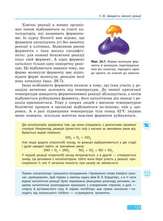 § 20. Швидкість хімічної реакції
123
Хімічні реакції в живих організ-
мах також відбуваються за участі ка-
талізаторів, які називають фермента-
ми. Із курсу біології вам відомо, що
ферменти каталізують усі без винятку
реакції в клітинах. Відмінною рисою
ферментів є їхня висока специфіч-
ність: для кожної біохімічної реакції
існує свій фермент. А один фермент
каталізує тільки одну конкретну реак-
цію. Це відбувається завдяки тому, що
форма молекули ферменту має відпо-
відати формі молекули, реакцію якої
вона каталізує (мал. 20.7).
Інша особливість ферментів полягає в тому, що їхня участь у ре-
акціях нетипово залежить від температури. До певної критичної
температури швидкість ферментативної реакції збільшується, а потім
відбувається руйнування ферменту, його каталітична дія зникає і ре-
акція припиняється. Тому у хворих людей з високою температурою
біохімічні процеси в організмі відбуваються по-іншому, ніж у здо-
рових. А в разі підвищення температури тіла понад 42°С людина
може померти, оскільки життєво важливі ферменти руйнуються.
Дія каталізаторів зумовлена тим, що вони утворюють з реагентами проміжні
сполуки. Наприклад, реакція сірчистого газу з киснем за звичайних умов від-
бувається вкрай повільно:
2SO2  +  O2  =  2SO3
Але якщо додати нітроген(II) оксид, то реакція відбуватиметься у дві стадії
і дуже швидко навіть за звичайних умов:
2NO  +  O2  =  2NO2 NO2  +  SO2  =  NO  +  SO3
У першій реакції нітроген(II) оксид витрачається, а в другій — утворюється
знову. Ця речовина є каталізатором, тобто вона бере участь у реакції, при-
скорюючи її, але її загальна кількість при цьому не змінюється.
Термін «каталізатор» грецького походження, і буквально слово katalysis озна-
чає «руйнування». Цей термін у хімічну науку ввів Й. Я. Берцеліус, а в ті часи
відомі каталітичні реакції були переважно реакціями розкладу речовин, зо-
крема каталітичне розкладання крохмалю з утворенням глюкози, а далі —
спирту й вуглекислого газу. А термін «інгібітор» має пряме значення і по-
ходить від латинського inhibere — «стримувати, зупиняти».
Мал. 20.7. Форма молекули фер-
менту й молекули, перетворення
якої він каталізує, підходять один
до одного, як ключик до замочка
Право для безоплатного розміщення підручника в мережі Інтернет має
Міністерство освіти і науки України http://mon.gov.ua/ та Інститут модернізації змісту освіти https://imzo.gov.ua
 
