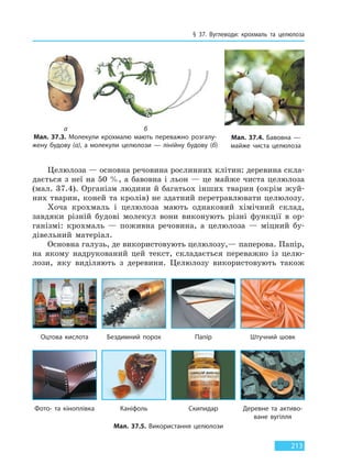 § 37. Вуглеводи: крохмаль та целюлоза
213
а б
Мал. 37.3. Молекули крохмалю мають переважно розгалу-
жену будову (а), а молекули целюлози — лінійну будову (б)
Целюлоза — основна речовина рослинних клітин: деревина скла-
дається з неї на 50 %, а бавовна і льон — це майже чиста целюлоза
(мал. 37.4). Організм людини й багатьох інших тварин (окрім жуй-
них тварин, коней та кролів) не здатний перетравлювати целюлозу.
Хоча крохмаль і целюлоза мають однаковий хімічний склад,
завдяки різній будові молекул вони виконують різні функції в ор-
ганізмі: крохмаль — поживна речовина, а целюлоза — міцний бу-
дівельний матеріал.
Основна галузь, де використовують целюлозу,— паперова. Папір,
на якому надрукований цей текст, складається переважно із целю-
лози, яку виділяють з деревини. Целюлозу використовують також
Мал. 37.4. Бавовна —
майже чиста целюлоза
Мал. 37.5. Використання целюлози
Оцтова кислота
Фото- та кіноплівка
Бездимний порох
Каніфоль
Папір
Скипидар
Штучний шовк
Деревне та активо-
ване вугілля
Право для безоплатного розміщення підручника в мережі Інтернет має
Міністерство освіти і науки України http://mon.gov.ua/ та Інститут модернізації змісту освіти https://imzo.gov.ua
 