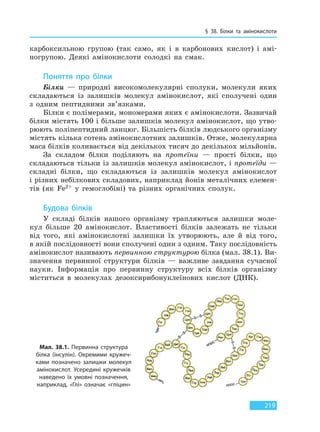 § 38. Білки та амінокислоти
219
карбоксильною групою (так само, як і в карбонових кислот) і амі-
ногрупою. Деякі амінокислоти солодкі на смак.
Поняття про білки
Білки — природні високомолекулярні сполуки, молекули яких
складаються із залишків молекул амінокислот, які сполучені один
з одним пептидними зв’язками.
Білки є полімерами, мономерами яких є амінокислоти. Зазвичай
білки містять 100 і більше залишків молекул амінокислот, що утво-
рюють поліпептидний ланцюг. Більшість білків людського організму
містять кілька сотень амінокислотних залишків. Отже, молекулярна
маса білків коливається від декількох тисяч до декількох мільйонів.
За складом білки поділяють на протеїни — прості білки, що
складаються тільки із залишків молекул амінокислот, і протеїди —
складні білки, що складаються із залишків молекул амінокислот
і різних небілкових складових, наприклад йонів металічних елемен-
тів (як Fe2+ у гемоглобіні) та різних органічних сполук.
Будова білків
У складі білків нашого організму трапляються залишки моле-
кул більше 20 амінокислот. Властивості білків залежать не тільки
від того, які амінокислотні залишки їх утворюють, але й від того,
в якій послідовності вони сполучені один з одним. Таку послідовність
амінокислот називають первинною структурою білка (мал. 38.1). Ви-
значення первинної структури білків — важливе завдання сучасної
науки. Інформація про первинну структуру всіх білків організму
міститься в молекулах дезоксирибонуклеїнових кислот (ДНК).
Мал. 38.1. Первинна структура
білка (інсулін). Окремими кружеч-
ками позначено залишки молекул
амінокислот. Усередині кружечків
наведено їх умовні позначення,
наприклад, «Глі» означає «гліцин»
Право для безоплатного розміщення підручника в мережі Інтернет має
Міністерство освіти і науки України http://mon.gov.ua/ та Інститут модернізації змісту освіти https://imzo.gov.ua
 