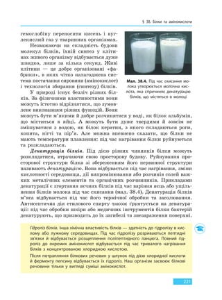 § 38. Білки та амінокислоти
221
гемоглобіну переносити кисень і вуг-
лекислий газ у тваринних організмах.
Незважаючи на складність будови
молекул білків, їхній синтез у кліти-
нах живого організму відбувається дуже
швидко, лише за кілька секунд. Живі
клітини — це добре організовані «фа-
брики», в яких чітко налагоджена сис-
тема постачання сировини (амінокислот)
і технологія збирання (синтезу) білків.
У природі існує безліч різних біл-
ків. За фізичними властивостями вони
можуть істотно відрізнятися, що зумов-
лене виконанням різних функцій. Вони
можуть бути м’якими й добре розчинятися у воді, як білок альбумін,
що міститься в яйці. А можуть бути дуже твердими й зовсім не
змішуватися з водою, як білок кератин, з якого складаються роги,
копита, нігті та пір’я. Але можна впевнено сказати, що білки не
мають температури плавлення: під час нагрівання білки руйнуються
та розкладаються.
Денатурація білків. Під дією різних чинників білки можуть
розкладатися, втрачаючи свою просторову будову. Руйнування про-
сторової структури білка зі збереженням його первинної структури
називають денатурацією. Вона відбувається під час нагрівання, зміни
кислотності середовища, дії випромінювання або розчинів солей важ-
ких металічних елементів та органічних розчинників. Прикладами
денатурації є згортання яєчних білків під час варіння яєць або ущіль-
нення білків молока під час скисання (мал. 38.4). Денатурація білків
м’яса відбувається під час його термічної обробки та засолювання.
Антисептична дія етилового спирту також ґрунтується на денатура-
ції: під час обробки шкіри або медичних інструментів білки бактерій
денатурують, що призводить до їх загибелі та знезараження поверхні.
Гідроліз білків. Інша хімічна властивість білків — здатність до гідролізу в кис-
лому або лужному середовищах. Під час гідролізу розриваються пептидні
зв’язки й відбувається розщеплення поліпептидного ланцюга. Повний гід-
роліз до окремих амінокислот відбувається під час тривалого нагрівання
білків з концентрованою хлоридною кислотою.
Після потрапляння білкових речовин у шлунок під дією хлоридної кислоти
й ферменту пепсину відбувається їх гідроліз. Наш організм засвоює білкові
речовини тільки у вигляді суміші амінокислот.
Мал. 38.4. Під час скисання мо-
лока утворюється молочна кис-
лота, яка спричиняє денатурацію
білків, що містяться в молоці
Право для безоплатного розміщення підручника в мережі Інтернет має
Міністерство освіти і науки України http://mon.gov.ua/ та Інститут модернізації змісту освіти https://imzo.gov.ua
 