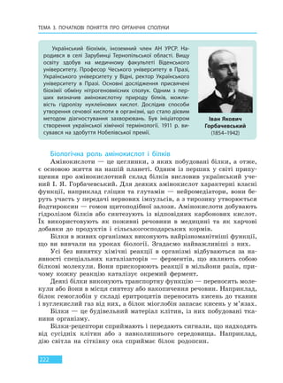 ТЕМА 3. ПОЧАТКОВІ ПОНЯТТЯ ПРО  ОРГАНІЧНІ СПОЛУКИ
222
Біологічна роль амінокислот і білків
Амінокислоти — це цеглинки, з яких побудовані білки, а отже,
є основою життя на нашій планеті. Одним із перших у світі припу-
щення про амінокислотний склад білків висловив український уче-
ний І. Я. Горбачевський. Для деяких амінокислот характерні власні
функції, наприклад гліцин та глутамін — нейромедіатори, вони бе-
руть участь у передачі нервових імпульсів, а з тирозину утворюється
йодтироксин — гомон щитоподібної залози. Амінокислоти добувають
гідролізом білків або синтезують із відповідних карбонових кислот.
Їх використовують як поживні речовини в медицині та як харчові
добавки до продуктів і сільськогосподарських кормів.
Білки в живих організмах виконують найрізноманітніші функції,
що ви вивчали на уроках біології. Згадаємо найважливіші з них.
Усі без винятку хімічні реакції в організмі відбуваються за на-
явності спеціальних каталізаторів — ферментів, що являють собою
білкові молекули. Вони прискорюють реакції в мільйони разів, при-
чому кожну реакцію каталізує окремий фермент.
Деякі білки виконують транспортну функцію — переносять моле-
кули або йони в місця синтезу або накопичення речовин. Наприклад,
білок гемоглобін у складі еритроцитів переносить кисень до тканин
і вуглекислий газ від них, а білок міоглобін запасає кисень у м’язах.
Білки — це будівельний матеріал клітин, із них побудовані тка-
нини організму.
Білки-рецептори сприймають і передають сигнали, що надходять
від сусідніх клітин або з навколишнього середовища. Наприклад,
дію світла на сітківку ока сприймає білок родопсин.
Український біохімік, іноземний член АН УРСР. На-
родився в селі Зарубинці Тернопільської області. Вищу
освіту здобув на медичному факультеті Віденського
університету. Професор Чеського університету в Празі,
Українського університету у Відні, ректор Українського
університету в Празі. Основні дослідження присвячені
біохімії обміну нітрогеновмісних сполук. Одним з пер-
ших визначив амінокислотну природу білків, можли-
вість гідролізу нуклеїнових кислот. Дослідив способи
утворення сечової кислоти в організмі, що стало дієвим
методом діагностування захворювань. Був ініціатором
створення української хімічної термінології. 1911 р. ви-
сувався на здобуття Нобелівської премії.
Іван Якович
Горбачевський
(1854–1942)
Право для безоплатного розміщення підручника в мережі Інтернет має
Міністерство освіти і науки України http://mon.gov.ua/ та Інститут модернізації змісту освіти https://imzo.gov.ua
 
