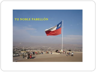 TU NOBLE PABELLÓN 
