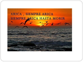 ARICA , SIEMPRE ARICA SIEMPRE ARICA HASTA MORIR 