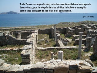 Toda Delos se cargó de oro, mientras contemplaba al vástago de
Zeus y Leto, por la alegría de que el dios la hubiera escogido
como casa en lugar de las islas o el continente.
(vv. 135-138)

 