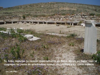 Tú, Febo, regocijas tu corazón especialmente en Delos, donde en honor tuyo se
congregan los jonios de arrastradizas túnicas con sus hijos y sus castas esposas.
(vv. 146-148)

 