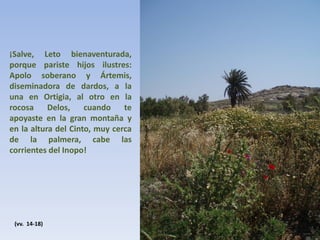 ¡Salve, Leto bienaventurada,
porque pariste hijos ilustres:
Apolo soberano y Ártemis,
diseminadora de dardos, a la
una en Ortigia, al otro en la
rocosa
Delos,
cuando
te
apoyaste en la gran montaña y
en la altura del Cinto, muy cerca
de la palmera, cabe las
corrientes del Inopo!

(vv. 14-18)

 