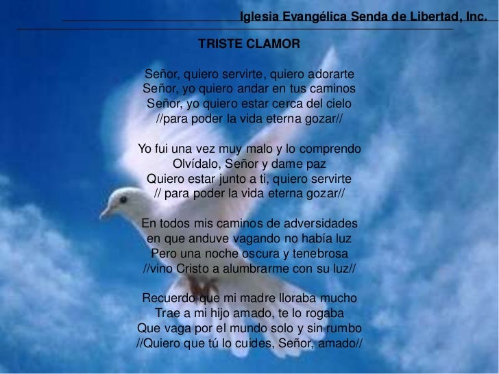 Lo malo que iba con el novio 7