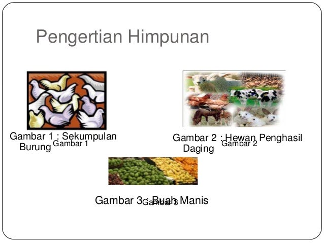 Himpunan Himpunan