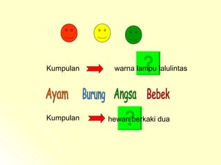 Kumpulan  Kumpulan Ayam Burung Angsa Bebek warna lampu lalulintas hewan berkaki dua 