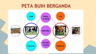 PETA BUIH BERGANDA

 