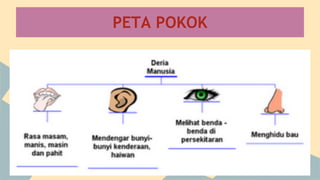 PETA POKOK

 