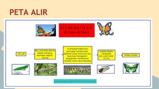 PETA ALIR

 
