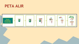 PETA ALIR

 