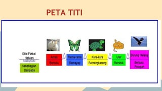 PETA TITI

 