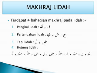  Terdapat 4 bahagian makhraj pada lidah :-
1. Pangkal lidah :
2. Pertengahan lidah :
3. Tepi lidah :
4. Hujung lidah :
 
