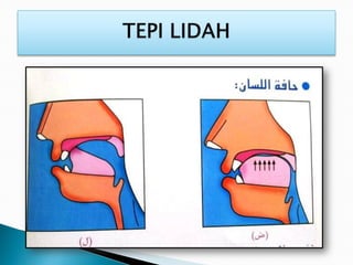 Himpunan tajuk tajwid kelas tfd part 1