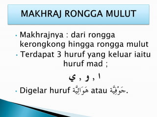• Makhrajnya : dari rongga
kerongkong hingga rongga mulut
• Terdapat 3 huruf yang keluar iaitu
huruf mad ;
• Digelar huruf atau .
 
