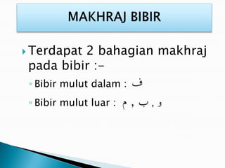  Terdapat 2 bahagian makhraj
pada bibir :-
◦ Bibir mulut dalam :
◦ Bibir mulut luar : ‫و‬,
 