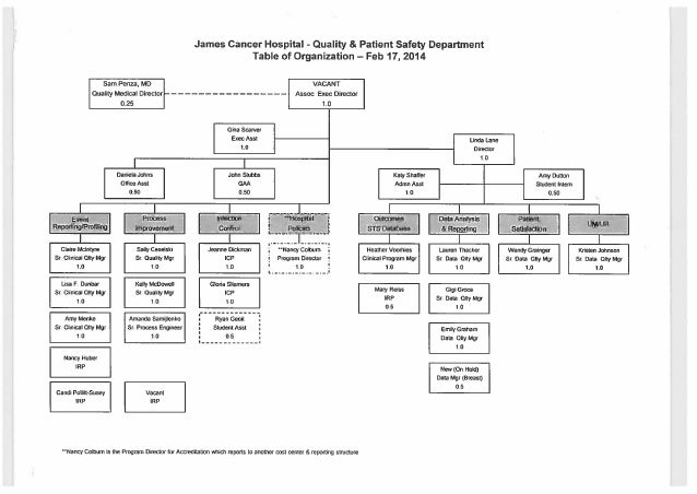 hospital organizational structure