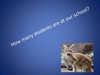 Cultural Diversity; Australia