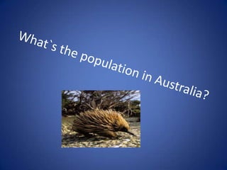 Cultural Diversity; Australia