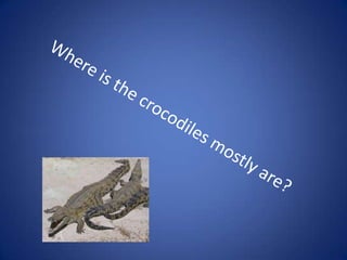 Cultural Diversity; Australia