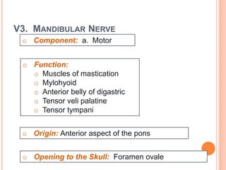 V3. MANDIBULAR NERVE
o Component: a. Motor
o Function:
o Muscles of mastication
o Mylohyoid
o Anterior belly of digastric
o Tensor veli palatine
o Tensor tympani
o Opening to the Skull: Foramen ovale
o Origin: Anterior aspect of the pons
 
