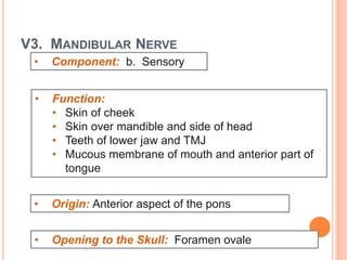 V3. MANDIBULAR NERVE
• Component: b. Sensory
• Function:
• Skin of cheek
• Skin over mandible and side of head
• Teeth of lower jaw and TMJ
• Mucous membrane of mouth and anterior part of
tongue
• Opening to the Skull: Foramen ovale
• Origin: Anterior aspect of the pons
 