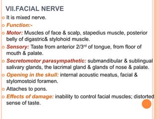 VII.FACIAL NERVE
 It is mixed nerve.
 Function:-
 Motor: Muscles of face & scalp, stapedius muscle, posterior
belly of digastric& stylohoid muscle.
 Sensory: Taste from anterior 2/3rd of tongue, from floor of
mouth & palate.
 Secretomotor parasympathetic: submandibular & sublingual
salivary glands, the lacrimal gland & glands of nose & palate.
 Opening in the skull: internal acoustic meatus, facial &
stylomostoid foramen.
 Attaches to pons.
 Effects of damage: inability to control facial muscles; distorted
sense of taste.
 