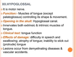 XII.HYPOGLOSSAL
 It is motor nerve.
 Function:- Muscles of tongue (except
palatoglossus) controlling its shape & movement.
 Opening in the skull: Hypoglossal canal.
 Innervates both extrinsic & intrinsic muscles of
tongue.
 Clinical test: tongue function
 Effects of damage: difficulty in speech and
swallowing; atrophy of tongue; inability to stick out
(protrude) tongue
 Lesions occur from demyelinating diseases &
vascular accidents.
 