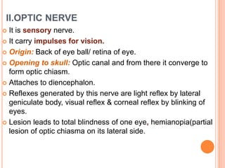 II.OPTIC NERVE
 It is sensory nerve.
 It carry impulses for vision.
 Origin: Back of eye ball/ retina of eye.
 Opening to skull: Optic canal and from there it converge to
form optic chiasm.
 Attaches to diencephalon.
 Reflexes generated by this nerve are light reflex by lateral
geniculate body, visual reflex & corneal reflex by blinking of
eyes.
 Lesion leads to total blindness of one eye, hemianopia(partial
lesion of optic chiasma on its lateral side.
 