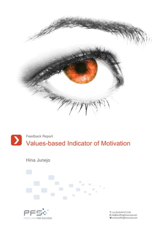 Feedback Report

Values-based Indicator of Motivation

Hina Junejo
 