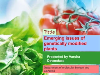 Emerging issues of
genetically modified
plants
Presented by Varsha
Deveedass
Department of molecular biology and
Genetics
Tittle
 